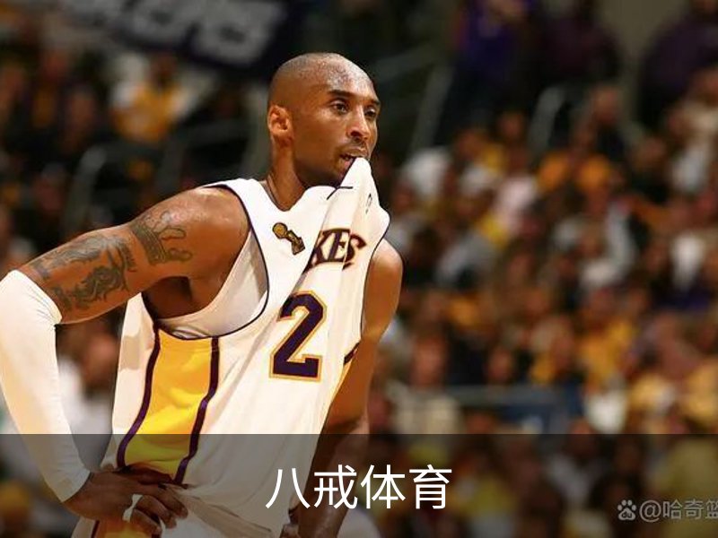八戒体育概况